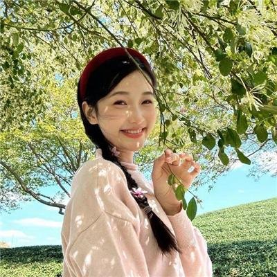 菊花香